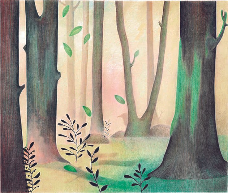 Ilustraciones infantiles