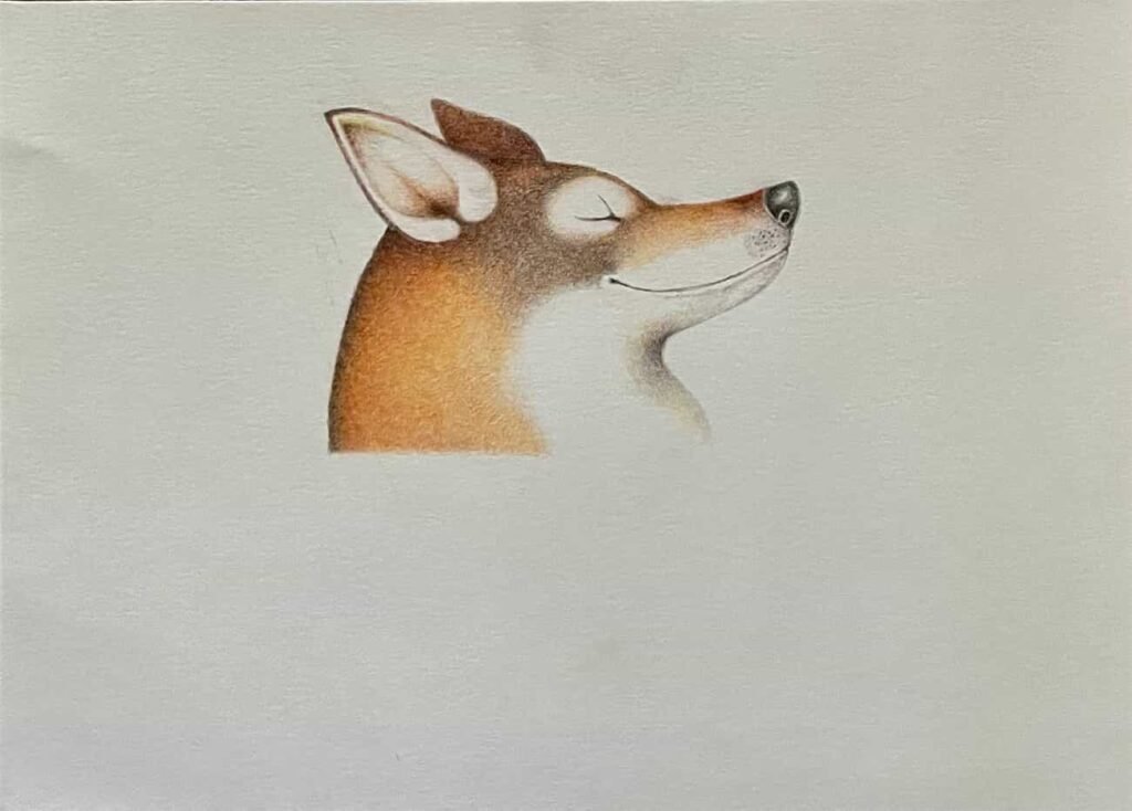 Ilustraciones infantiles